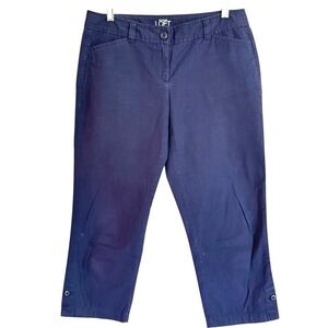 Ann Taylor LOFT Size 4 Navy Original Crop Pants Straight Leg Pockets